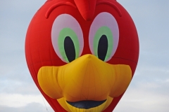 ballonfiesta-grave006