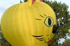 ballonfiesta-grave021