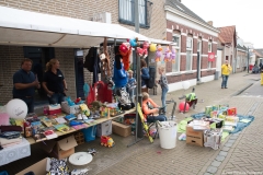 biks-bloasfestijn0023