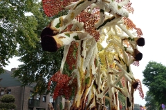 bloemencoso060