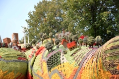 bloemencoso157