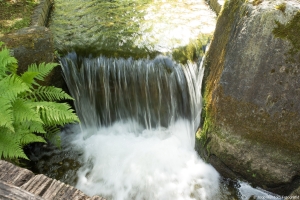 japanse-tuin-hasselt