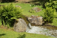 japanse-tuin-hasselt0023