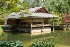 japanse-tuin-hasselt0024