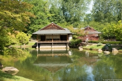 japanse-tuin-hasselt0026