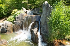 japanse-tuin-hasselt0038