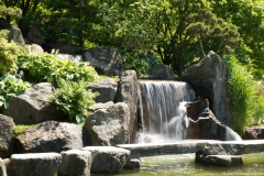 japanse-tuin-hasselt0039