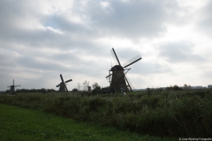 kinderdijk0008