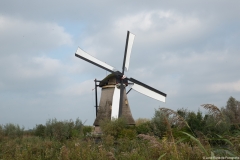 kinderdijk0009