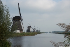 kinderdijk0010