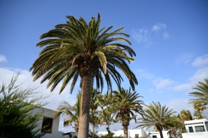 lanzarote