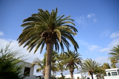 lanzarote001