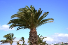 lanzarote006