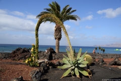 lanzarote007