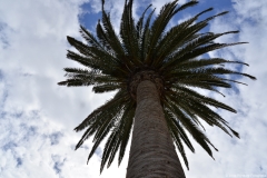 lanzarote010