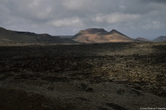 lanzarote019