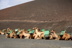 lanzarote029