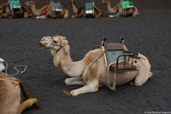 lanzarote030