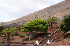 lanzarote034