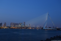 rotterdam-bij-avond013