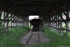 dsc_0047