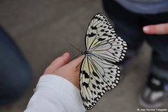 dsc_0173_klein